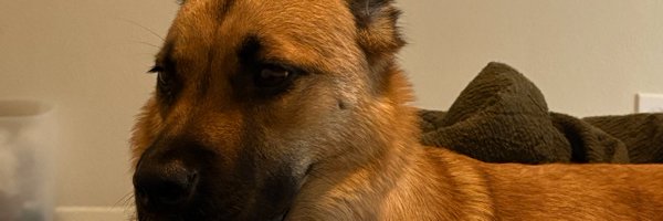 _ecto Profile Banner