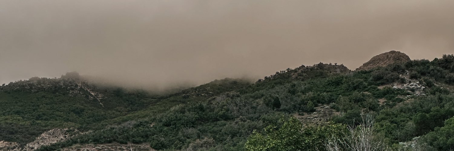 chelsanderton's profile banner image