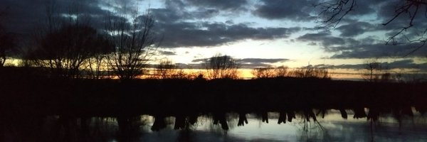 SaherHasnain Profile Banner