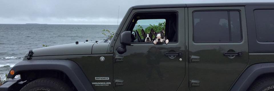 BrendaCallow's profile banner image
