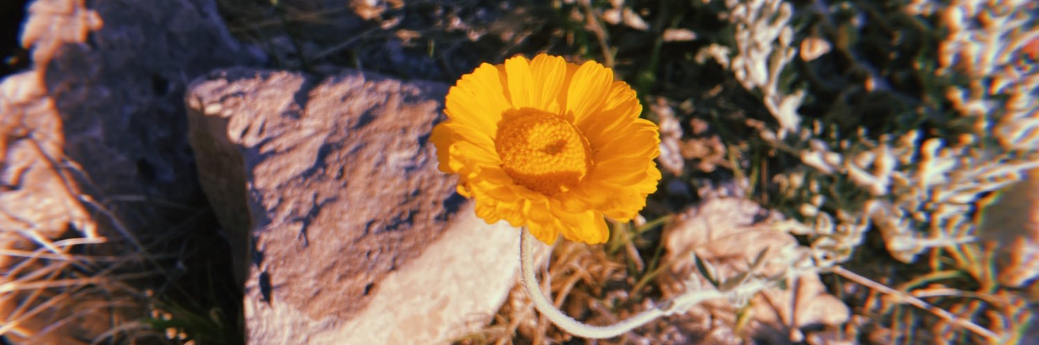 hildagtz1's profile banner image