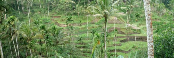 moredaru Profile Banner