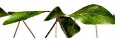 Adeler0909's profile banner image
