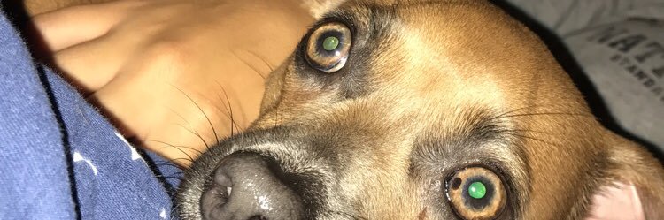 kelcielaverty's profile banner image