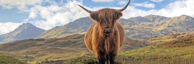 Jamie Watterson banner