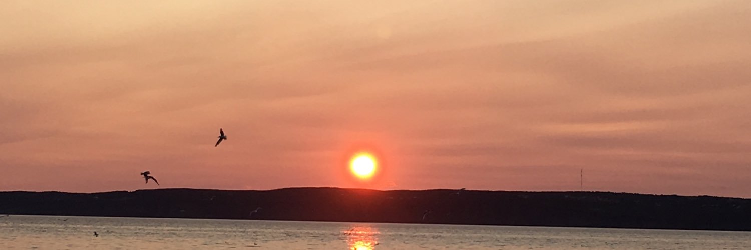 VickiQuinton's profile banner image