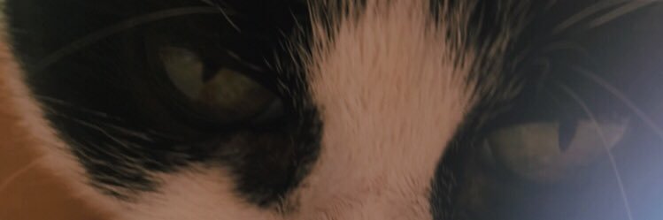 rachhs_'s profile banner image