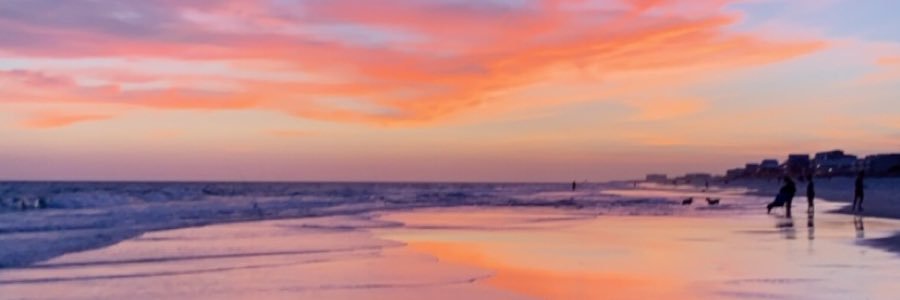 madison_1616's profile banner image