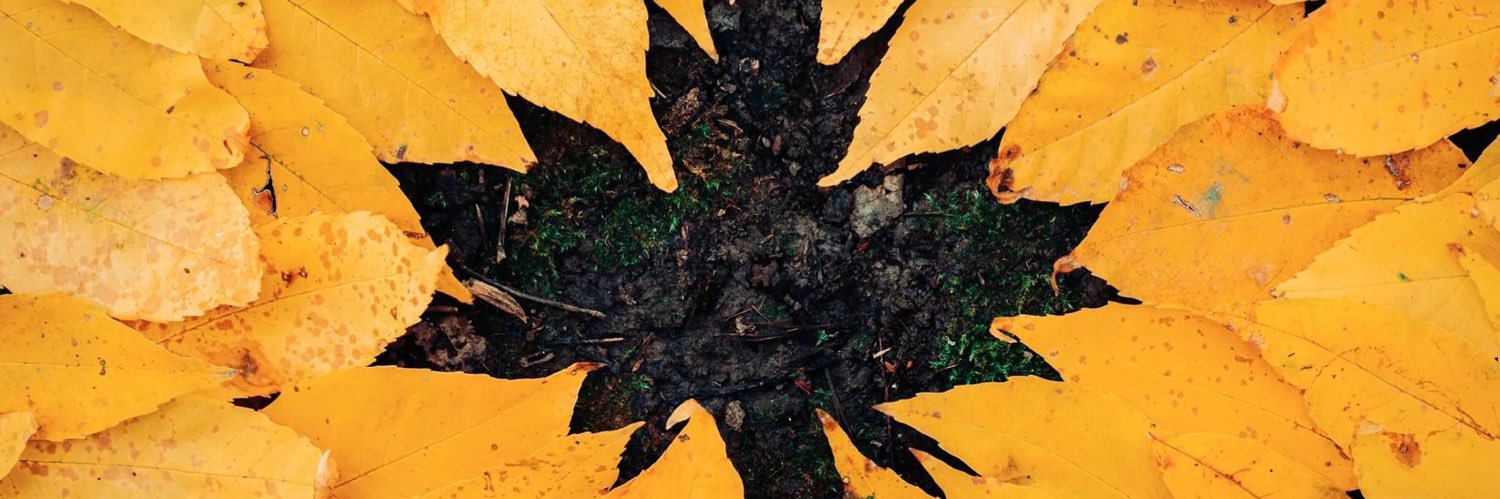 Natchats's profile banner image