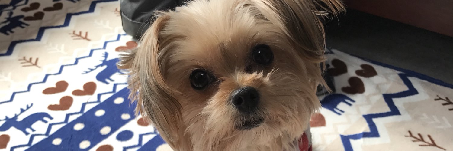 fjymtmk's profile banner image