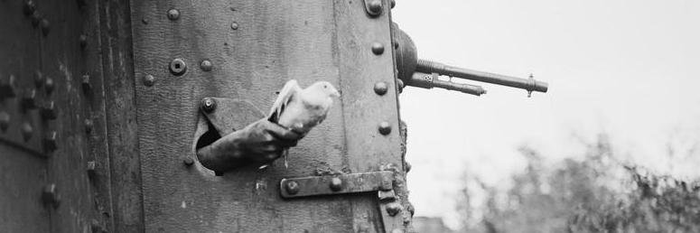 Laurence Roche banner