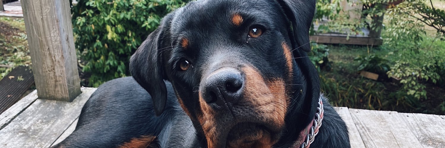 TanRashae's profile banner image