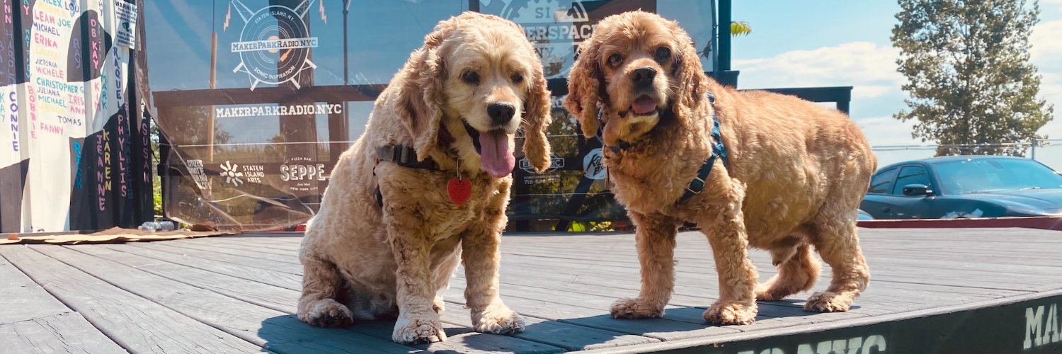 The Rodent Hour banner