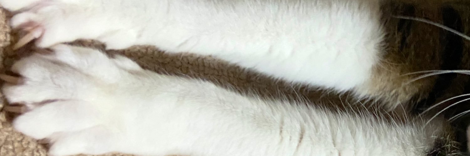 so___gi's profile banner image