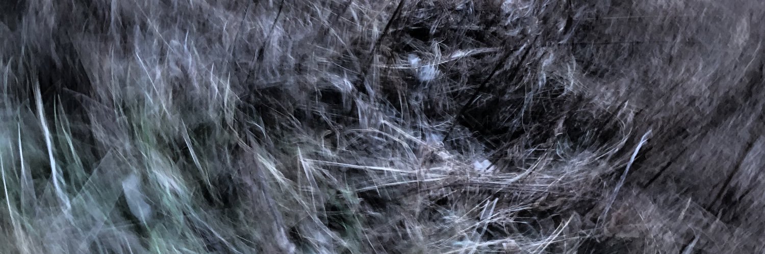 slyinfection's profile banner image