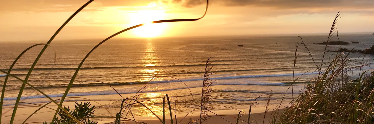 Robert Notermans banner