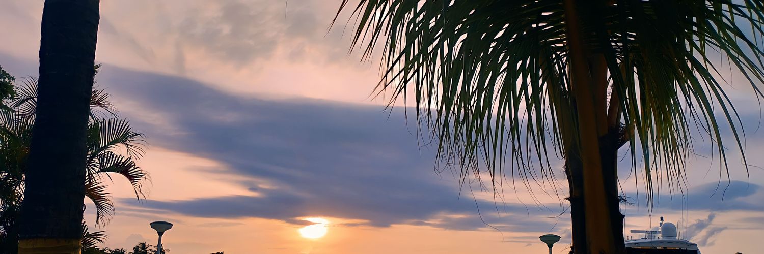 LIALH4P's profile banner image