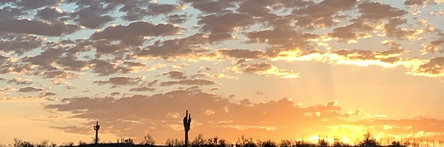LyssaIrenee's profile banner image