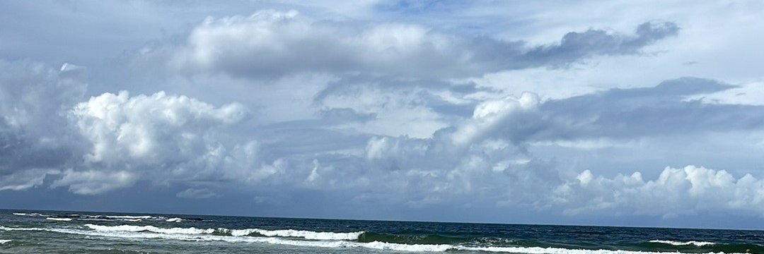 roseys333's profile banner image