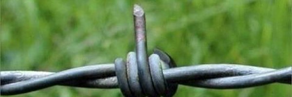 ACGalley Profile Banner