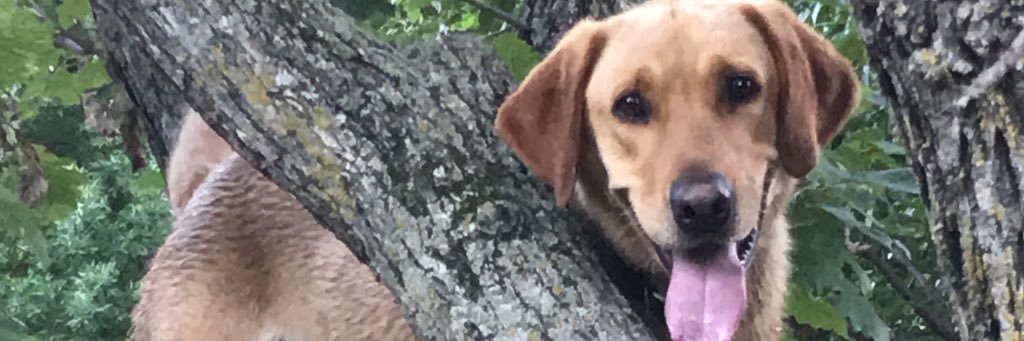 alex_groff's profile banner image