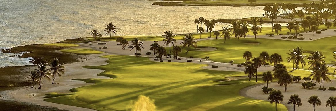 Katie McCarthy banner