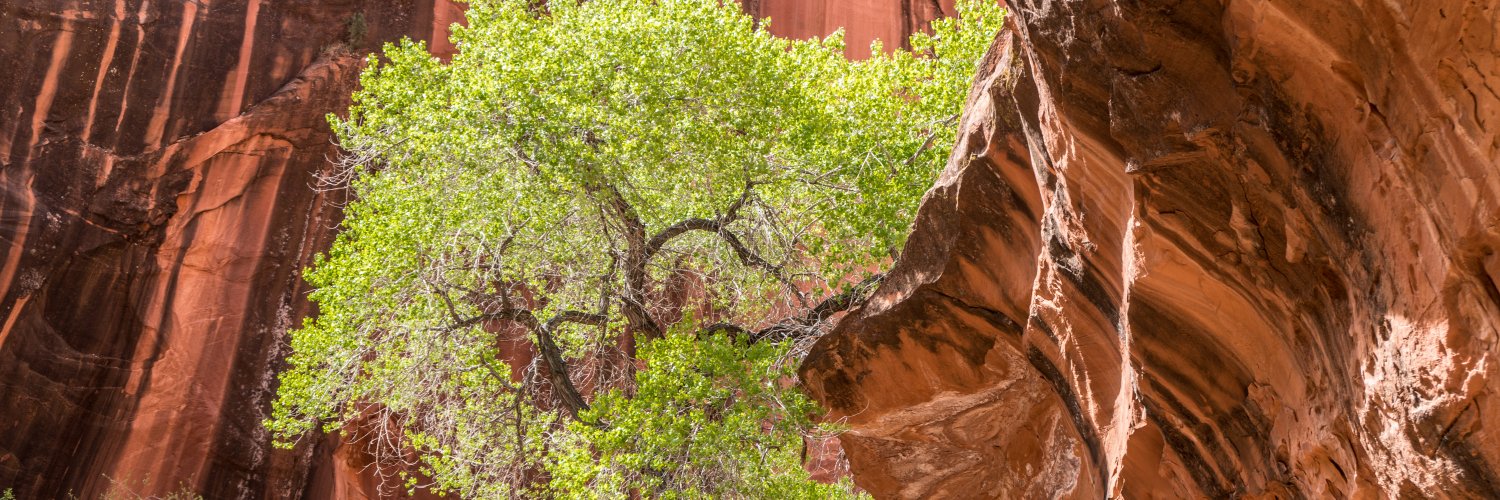 backcountrypost's profile banner image