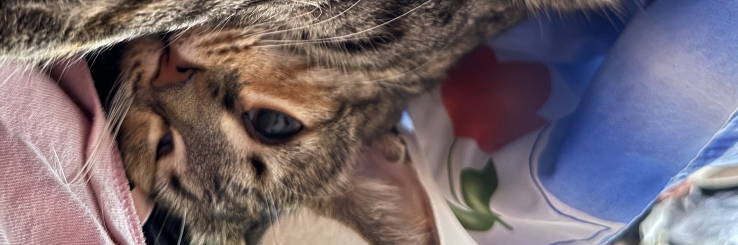 AranRamBer's profile banner image