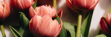 alexandraa_pr's profile banner image