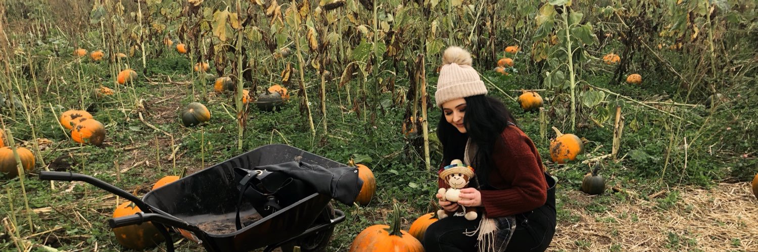 laurennngray's profile banner image