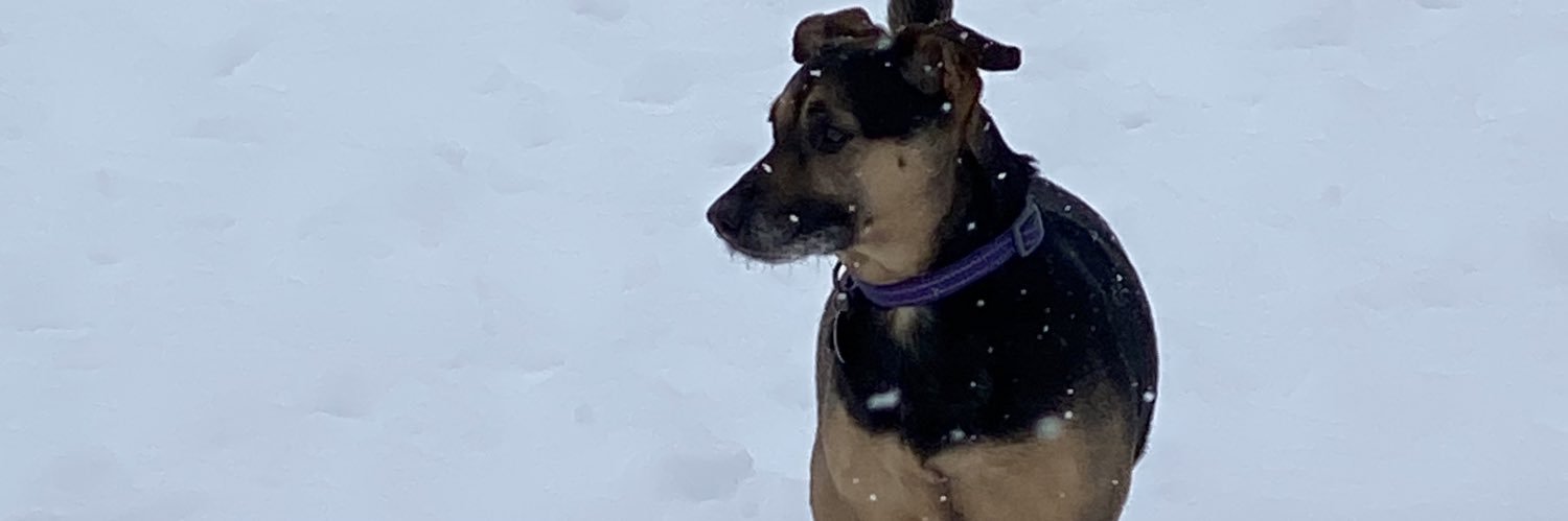 TyberiusP64's profile banner image
