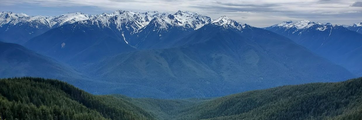 Nelsmich's profile banner image