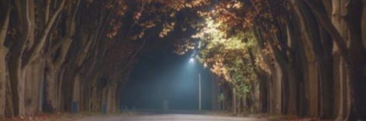 Panchi Valetta banner