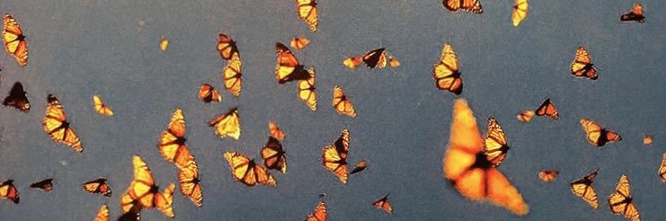 AliRogerss's profile banner image