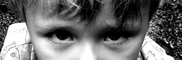 Francis Dunnery banner