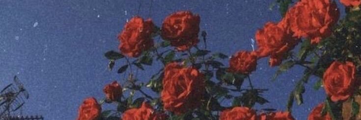 malumeedeiros's profile banner image