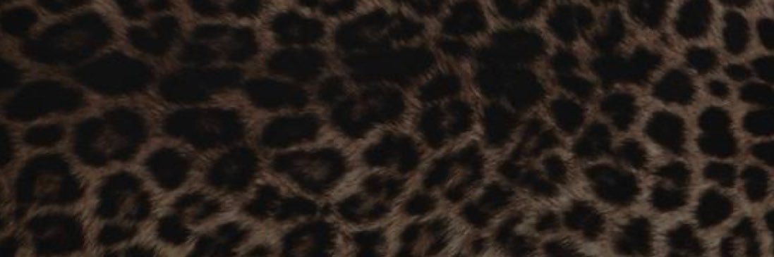 SabrinaNikolee's profile banner image