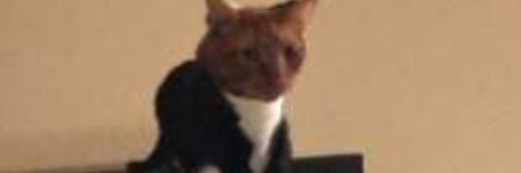 XaviVilla7's profile banner image