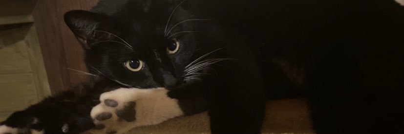 _cassiec's profile banner image
