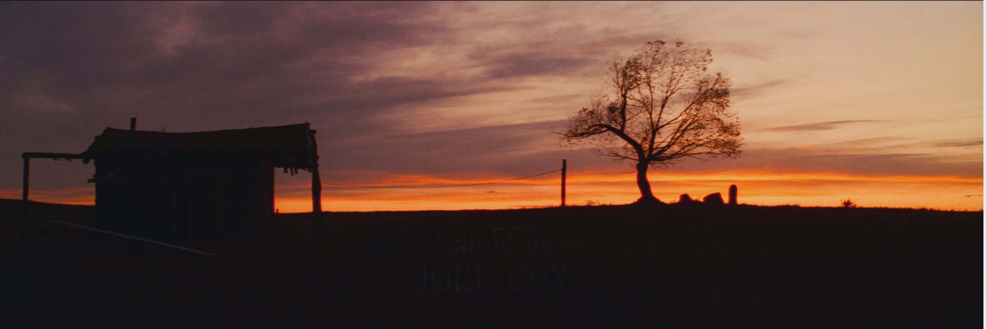 SnappingNeuron's profile banner image
