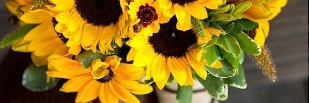 Jessica Dilly 🌻 banner