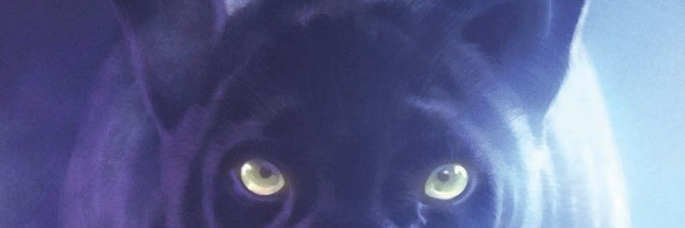 the_peacemaker's profile banner image