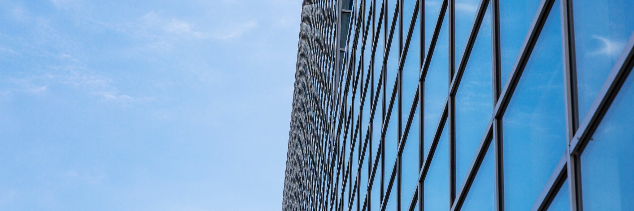 That Matt Taylor banner