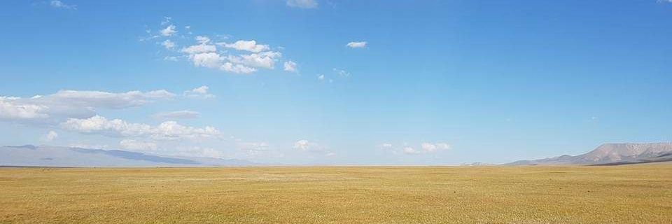 Knabbermann's profile banner image