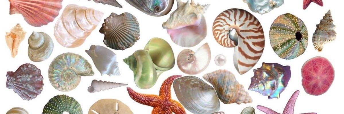 AdryVeitia18's profile banner image