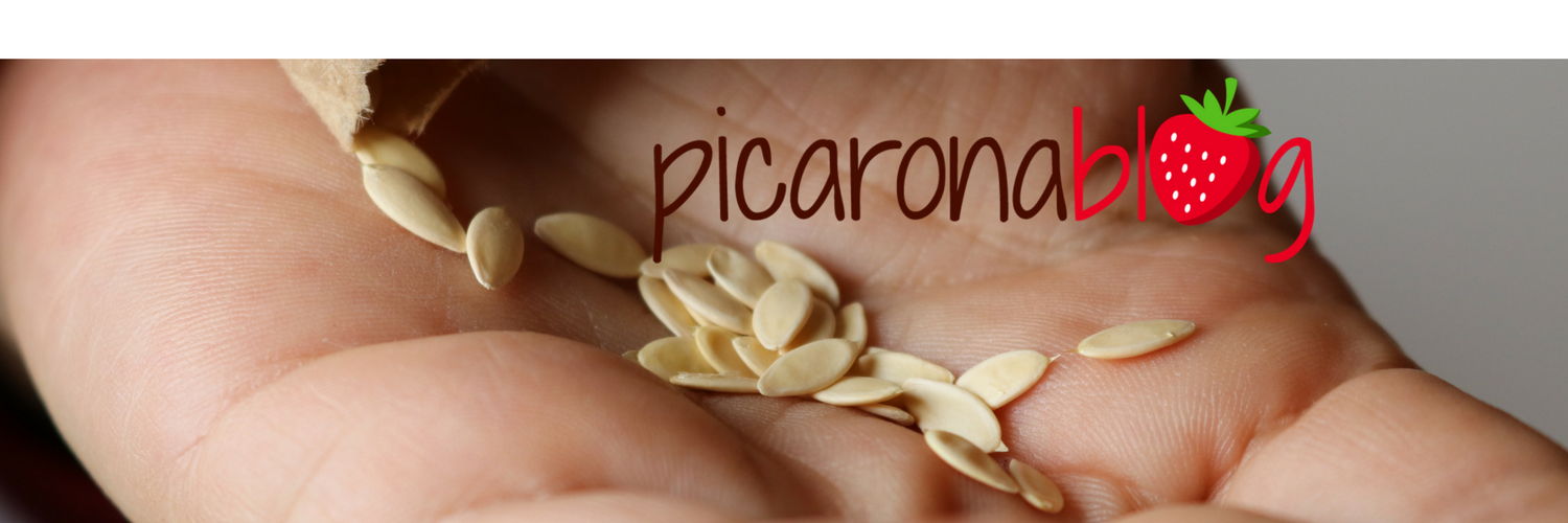 Ester Casanovas banner