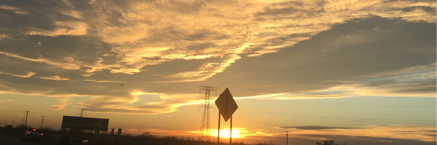 lulugarza3's profile banner image