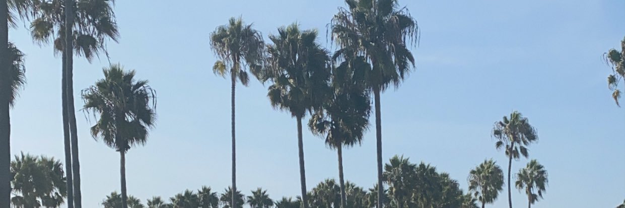 loveislight34's profile banner image