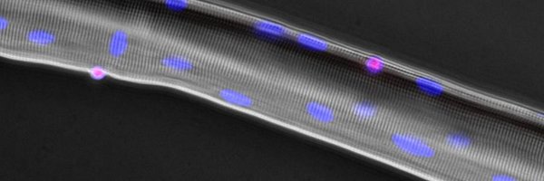 GilbertLab Profile Banner