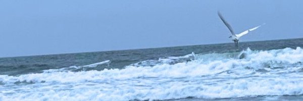 daviamira Profile Banner